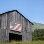 Trump targets Democratic programs, but consequences hurt people across the political spectrum.